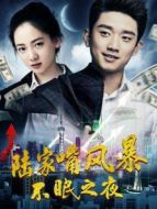 陸家嘴風(fēng)暴：不眠之夜