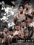 忠烈楊家將（粵語）