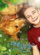 一條狗的使命