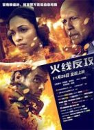 火線反攻（2012）