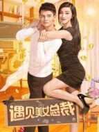 遇見(jiàn)美女總裁