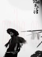 詩(shī)眼倦天涯