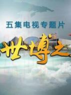 以世博之名