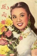 風(fēng)雨桃花村