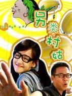 電影另類村姑海報