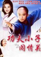 功夫小子闖情關(guān)