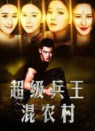 超級兵王混農(nóng)村