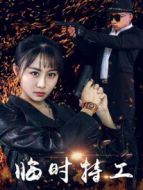 臨時特工2017