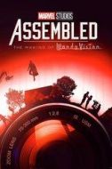 凱文·費(fèi)奇