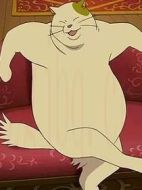 胖胖