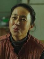 板金樸