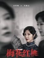 張淑云（趙奕歡飾演）