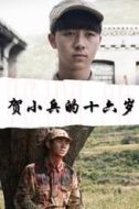 徐雅惠