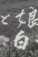 南風(fēng)洋子