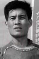 向南飛