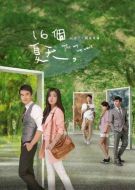 十六個夏天劇情介紹(1-16全集)