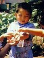 貝加的櫻桃班劇情介紹(1-3全集)
