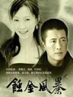 蝕金風暴劇情介紹(1-20全集)