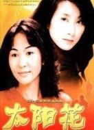太陽花臺灣版劇情介紹(1-23全集)