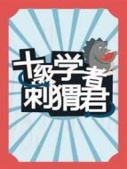 十級(jí)學(xué)者刺猬君劇情介紹(1-80全集)