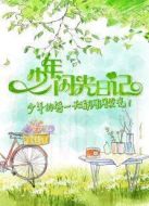 少年閃光日記 2017劇情介紹(1-100全集)