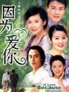 因?yàn)閻?ài)你劇情介紹(1-12全集)