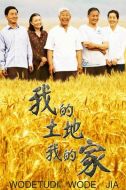 我的土地我的家劇情介紹(1-24全集)