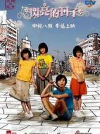 閃亮的日子劇情介紹(1-60全集)