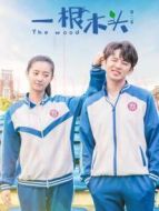 一根木頭第二季劇情介紹(1-12全集)