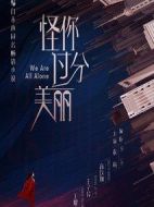 怪你過分美麗海報(bào)