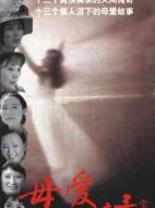 母愛劇情介紹(1-26全集)