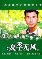 夏季無風(fēng)劇情介紹(1-20全集)