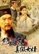包青天之真假女婿劇情介紹(1-全集)