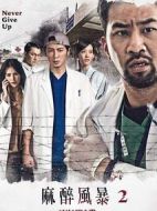 麻醉風(fēng)暴2海報