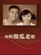 我的“傻”老婆劇情介紹(1-20全集)