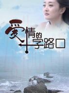 愛情的十字路口劇情介紹(1-20全集)