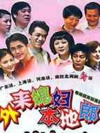 外來媳婦本地郎（19442193）劇情介紹(1-250全集)