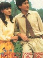 庭院深深劇情介紹(1-40全集)