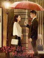 你和我的傾城時(shí)光[DVD版]劇情介紹(1-58全集)