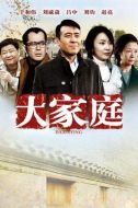 大家庭劇情介紹(1-30全集)