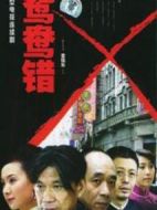 鴛鴦錯(cuò)劇情介紹(1-32全集)