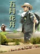五月花開劇情介紹(1-22全集)