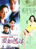 愛如風(fēng)過劇情介紹(1-20全集)