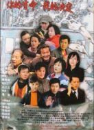 你的生命我的決定劇情介紹(1-22全集)