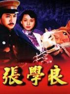 張學(xué)良劇情介紹(1-22全集)