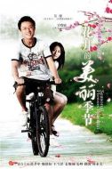 花開的美麗季節(jié)劇情介紹(1-24全集)