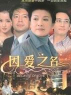 因愛之名劇情介紹(1-23全集)