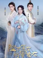 陛下在左，將軍在右劇情介紹(1-20全集)