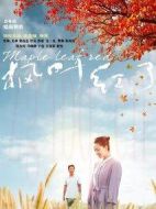 楓葉紅了劇情介紹(1-34全集)