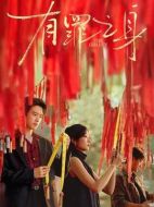 有罪之身劇情介紹（1-14全集）大結(jié)局